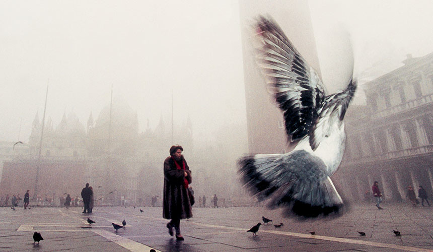 Herbst/Winter 2026