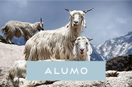 ALUMO: Cashmerello Light